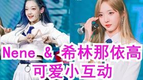 探索世界奇妙的十二生肖什么生肖自力更生问答平台